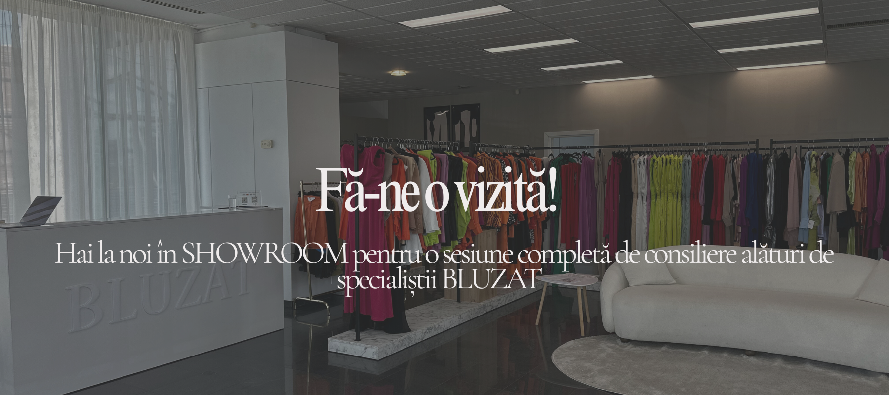 Programare Showroom