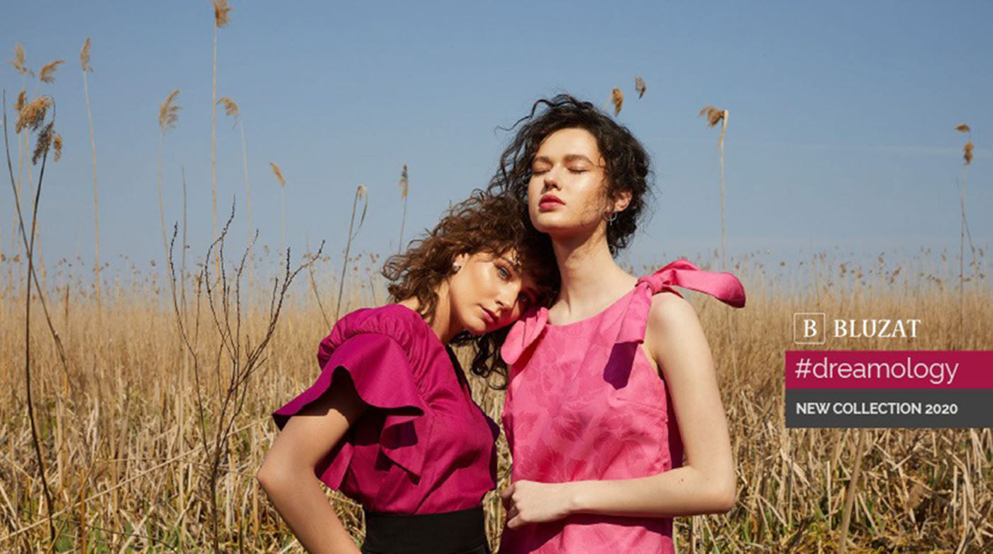 Dreamology sau cum se vede un vis, din interior